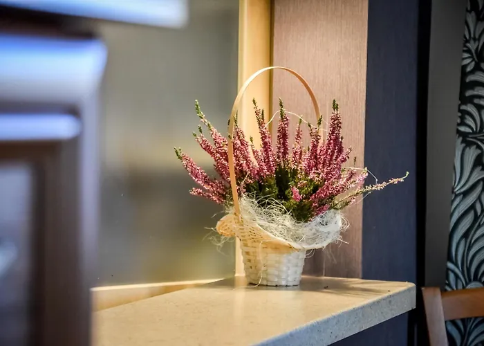 W Alejce * 라프카